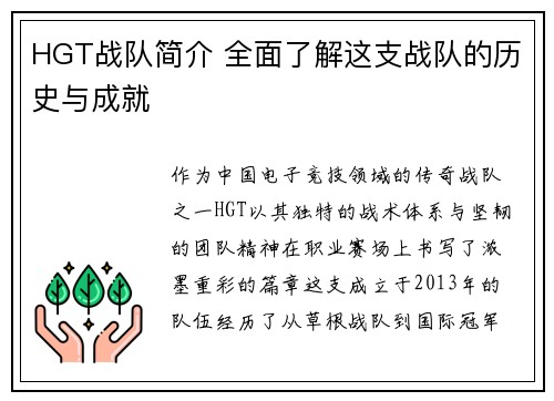 HGT战队简介 全面了解这支战队的历史与成就